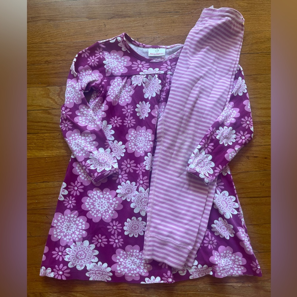 Hanna Andersson Size 5 110 Purple Floral Long Sleeve Dress Stripe Leggings Set